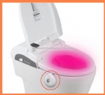 8 Colors Changing Night Motion Sensor Toilet Bowl Light