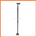 walking stick with pivoting base