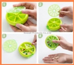 round shape fruit design pill box